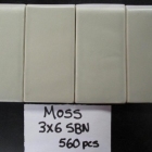 moss-3x6-sbn-