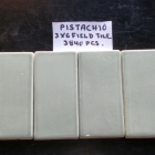 pistachio-3x6-ft