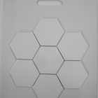 SB2015 #6 HEXAGON
