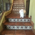 Terra Cotta stair tread with 6in Samarkand riser