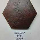 Antique Hexagonal 8" Walnut Light